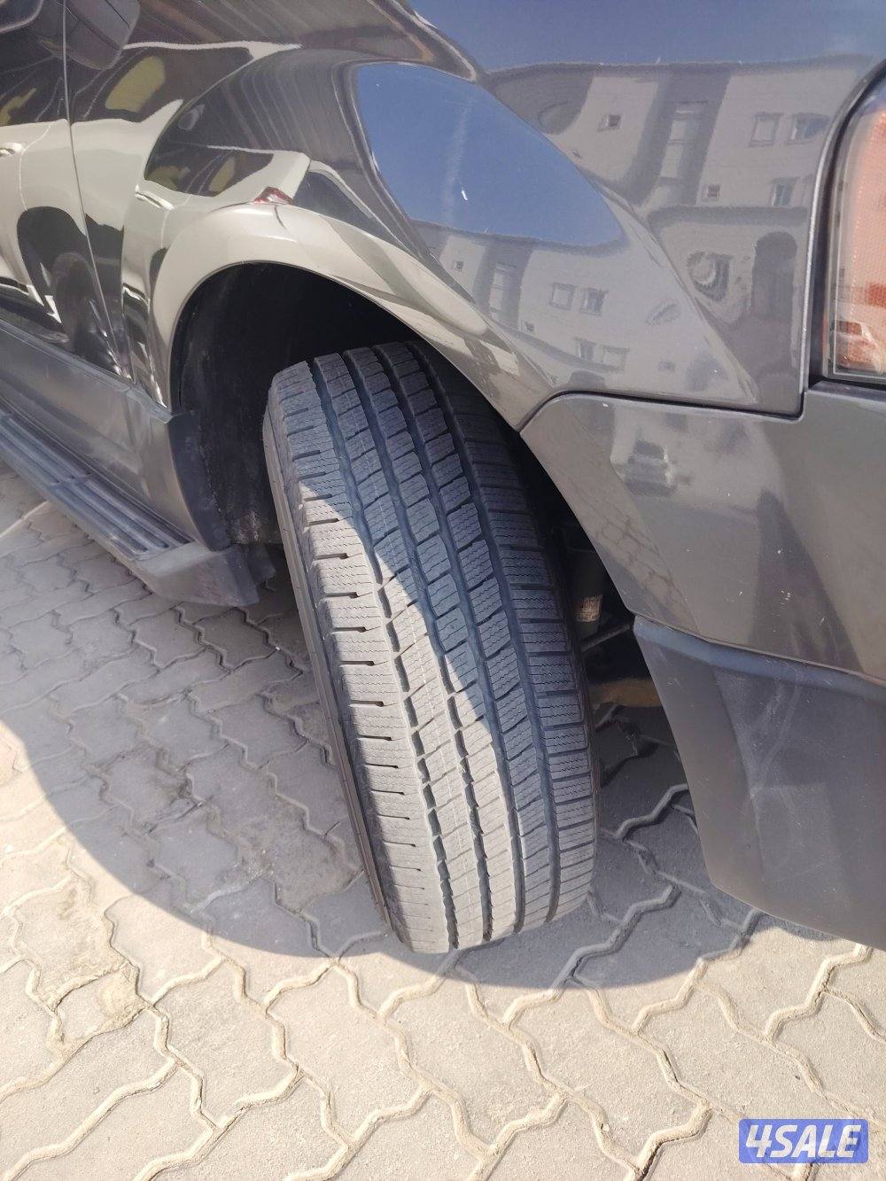 اكسبديشن الغانم 20162