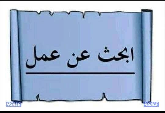 من جنوب اليمن باحث عن عمل في الكويت1