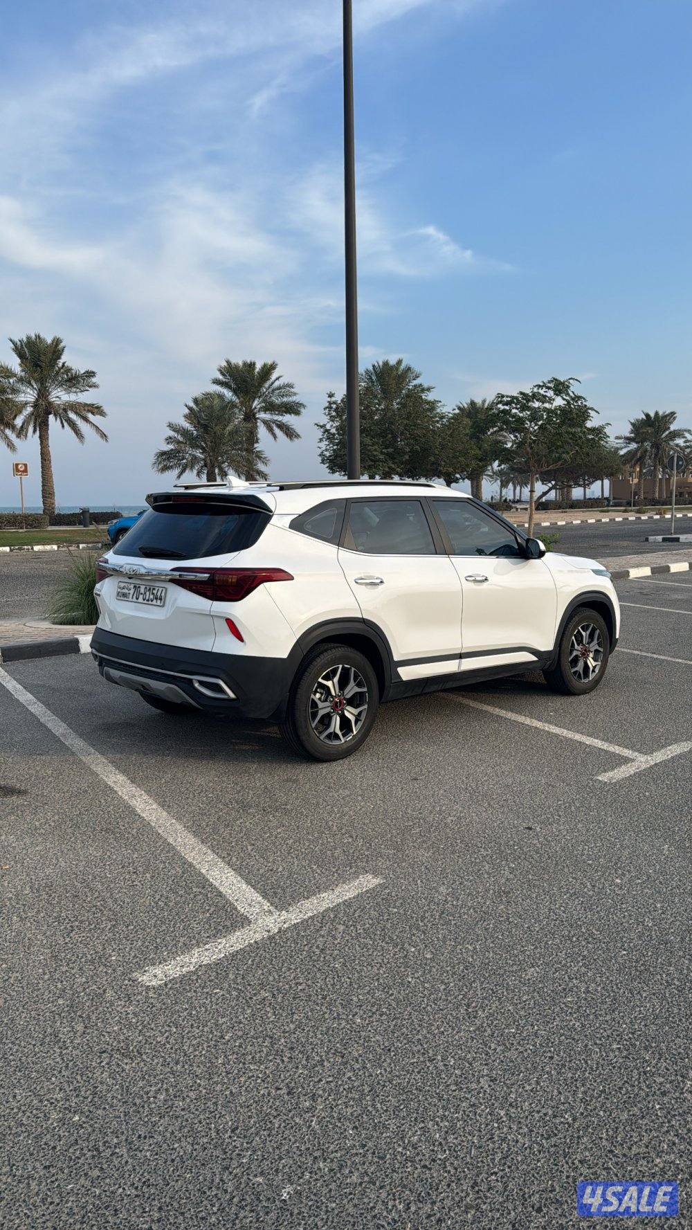 للبيع سيلتوس شبه ( الوكالة  )0