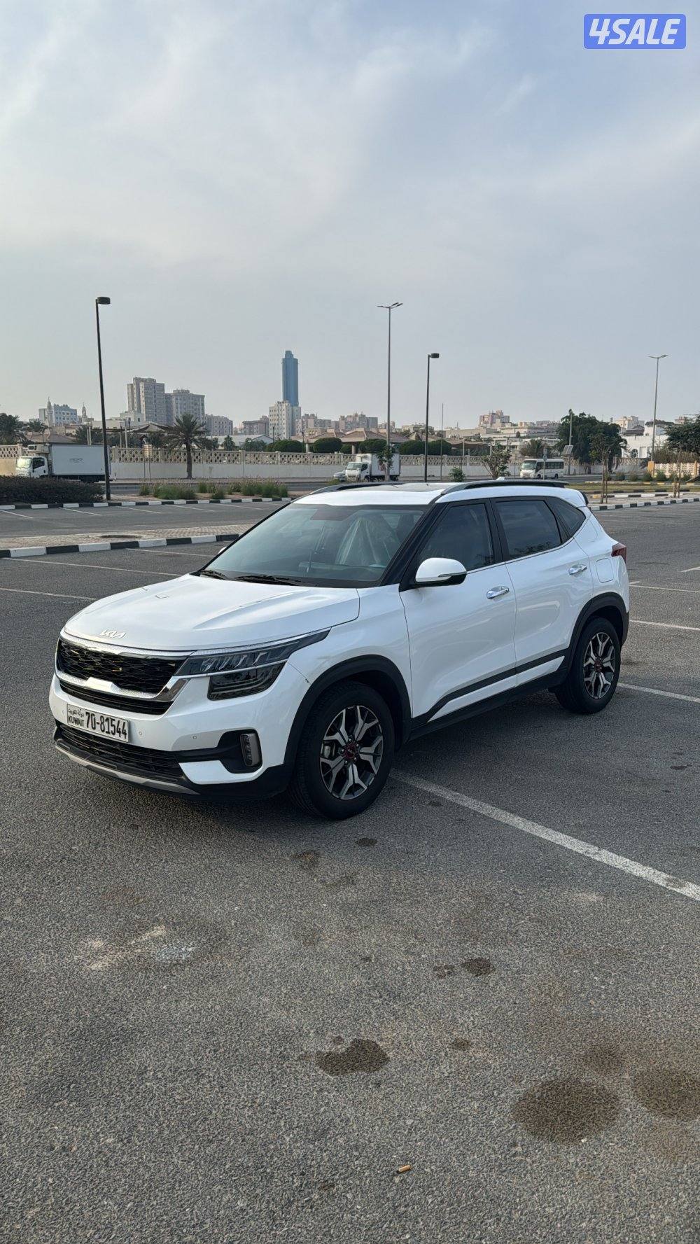 للبيع سيلتوس شبه ( الوكالة  )2