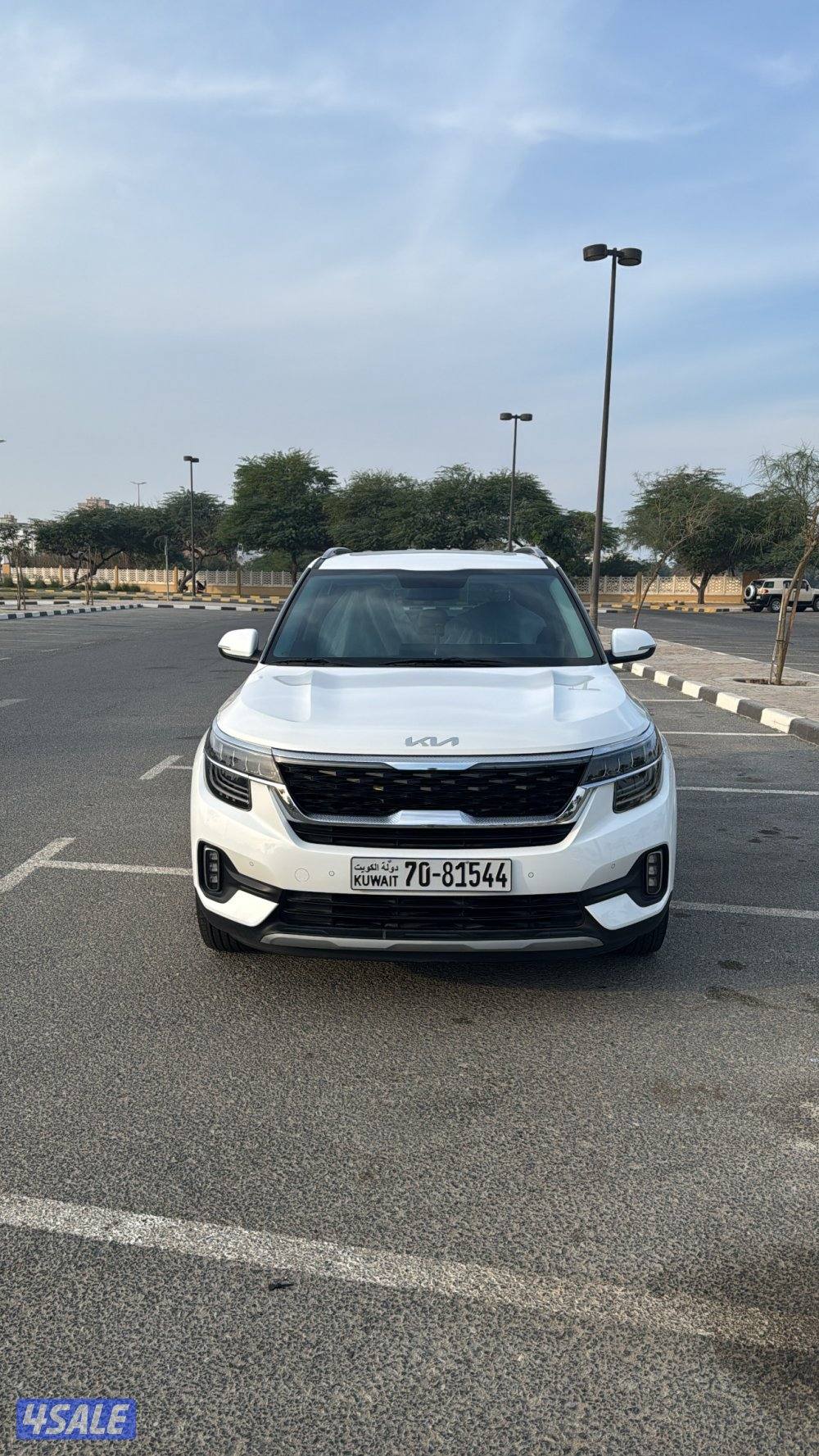 للبيع سيلتوس شبه ( الوكالة  )3