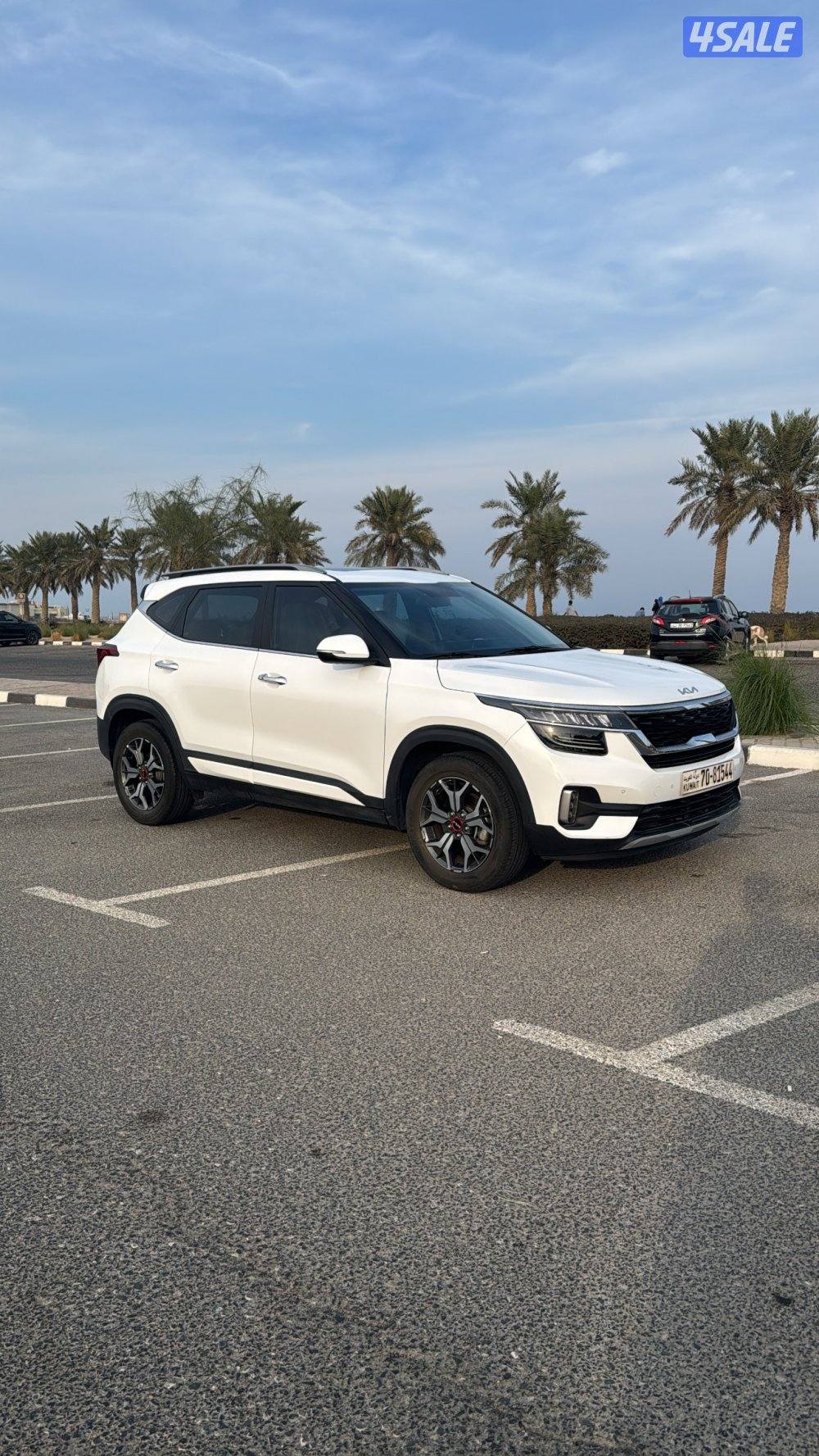 للبيع سيلتوس شبه ( الوكالة  )5