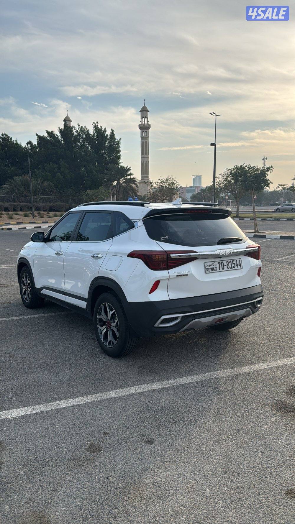 للبيع سيلتوس شبه ( الوكالة  )7