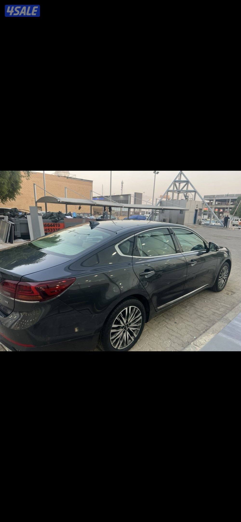 كادينزا صبغ وكالة3