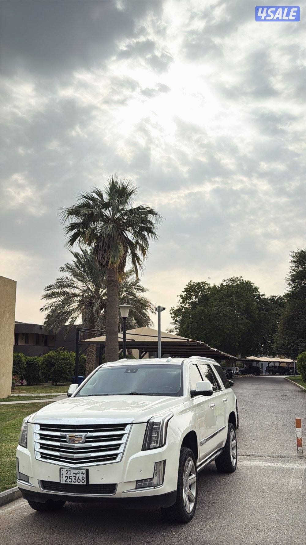 للبيع اسكاليد اعلى فئة 2015 نظيف1