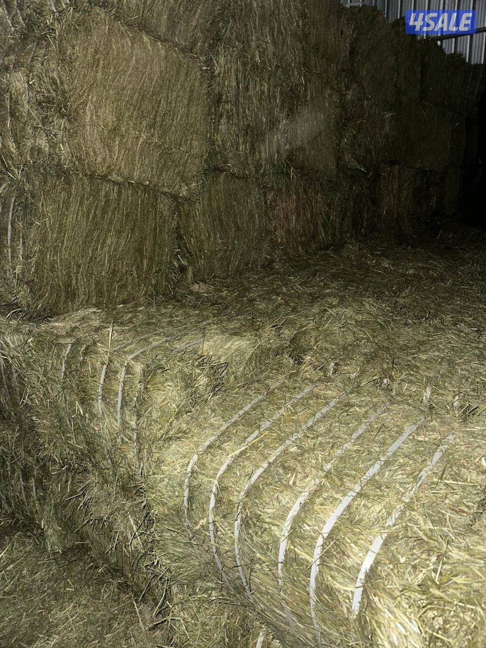 للبيع رودس امريكي و باكستاني1