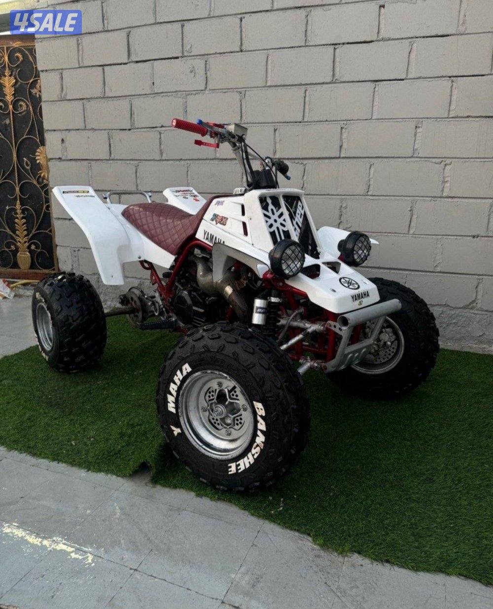 مطلوب بانشي او رابتر ٧٠٠ بحاله شبه جيده ب ٦٠٠ او اقل1