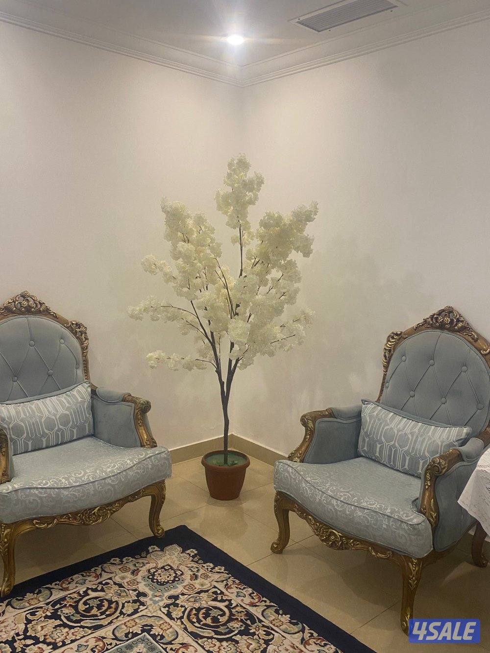 منطقة السلام1