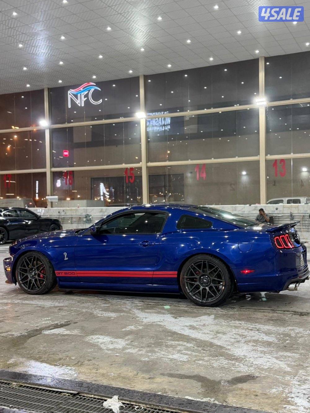 Mustang 5.04