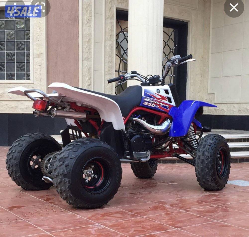 مطلوب بانشي او رابتر0