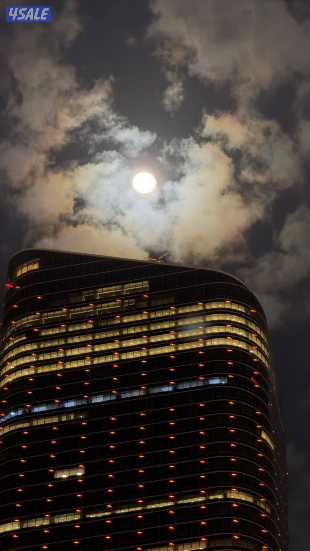 مصور احتاج شغل اونلاين او غيره0