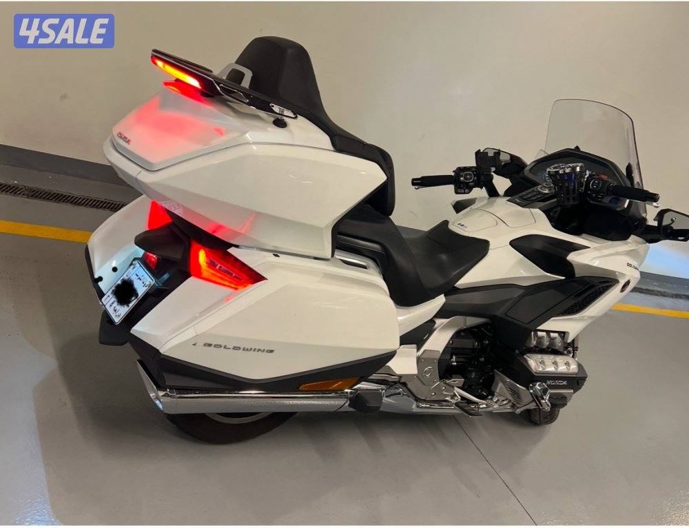 جولد وينغ 20181