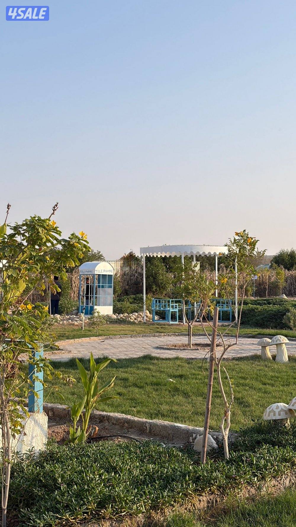 مزرعة بلو دار للايجار15