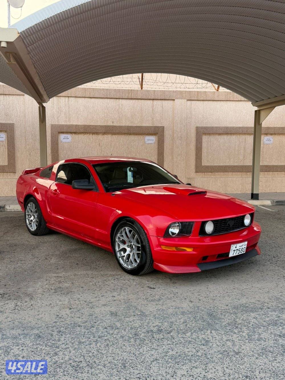 للبيع موستنق0