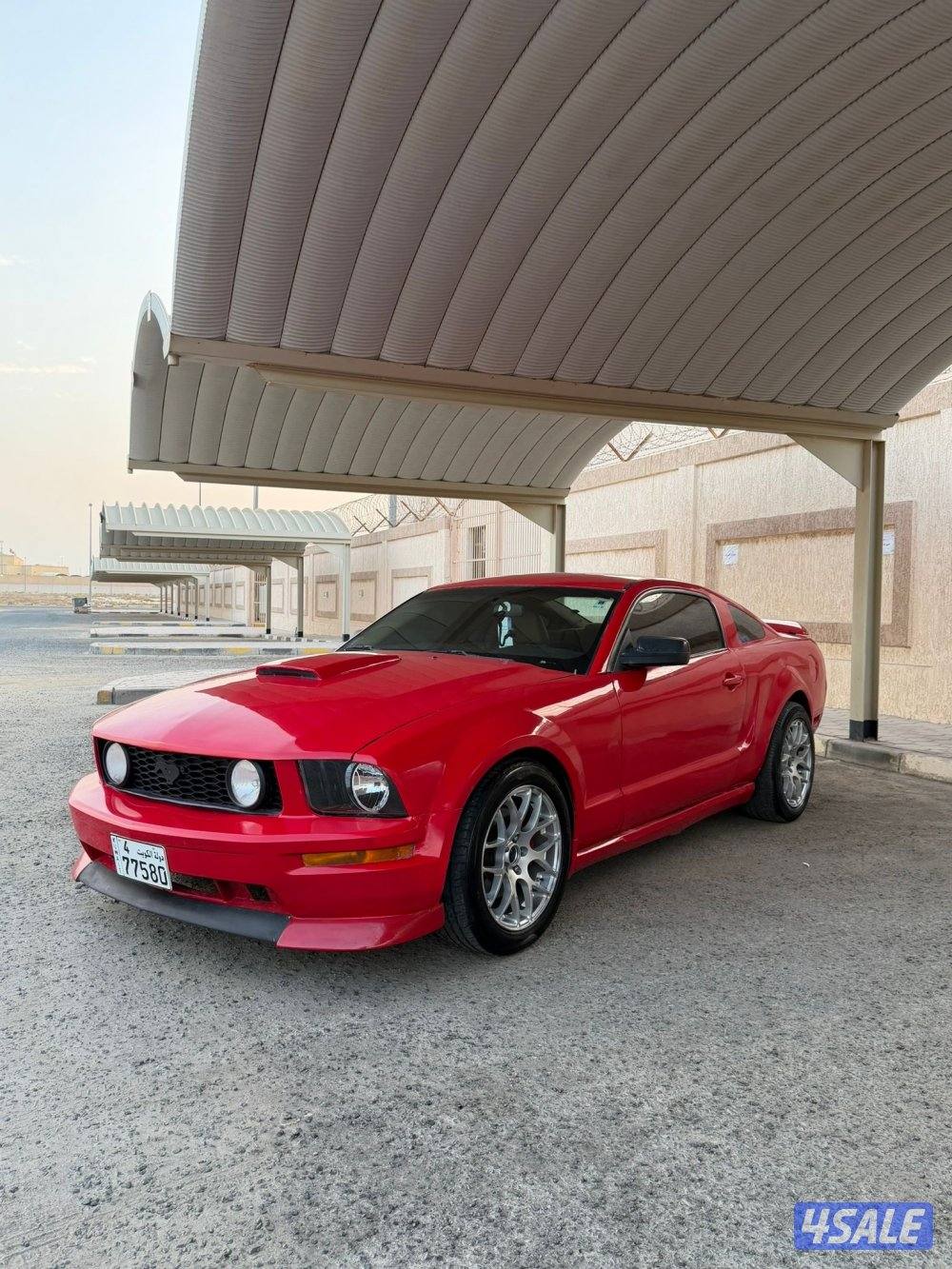 للبيع موستنق4