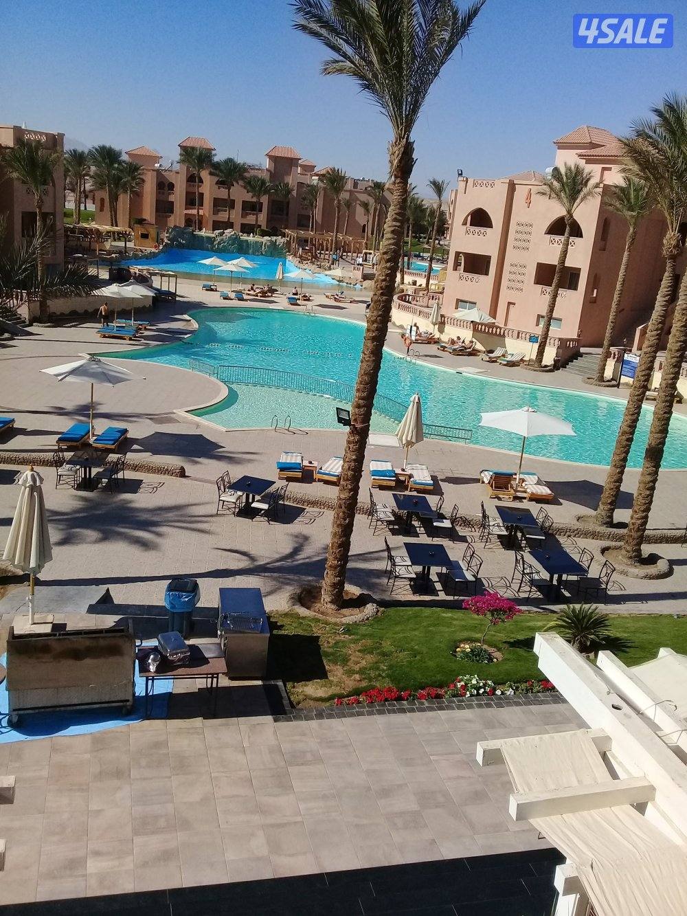 ابحث عن عمل من الساعه ٧ صباحا حتي ١٢ ظهرا0