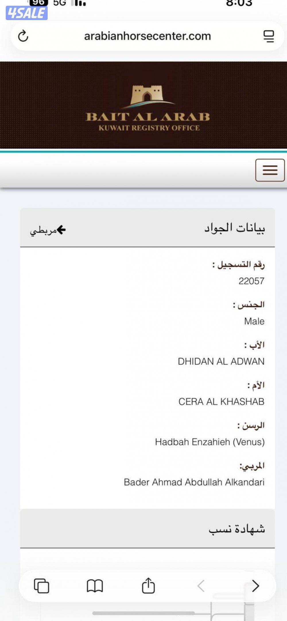 للبيع مهر مكس طيب شرط السلم ارتفاعه يزود2