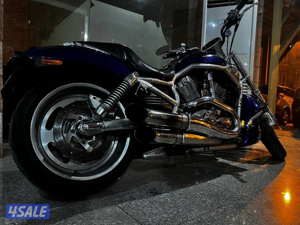 Harley Vrod night rod1