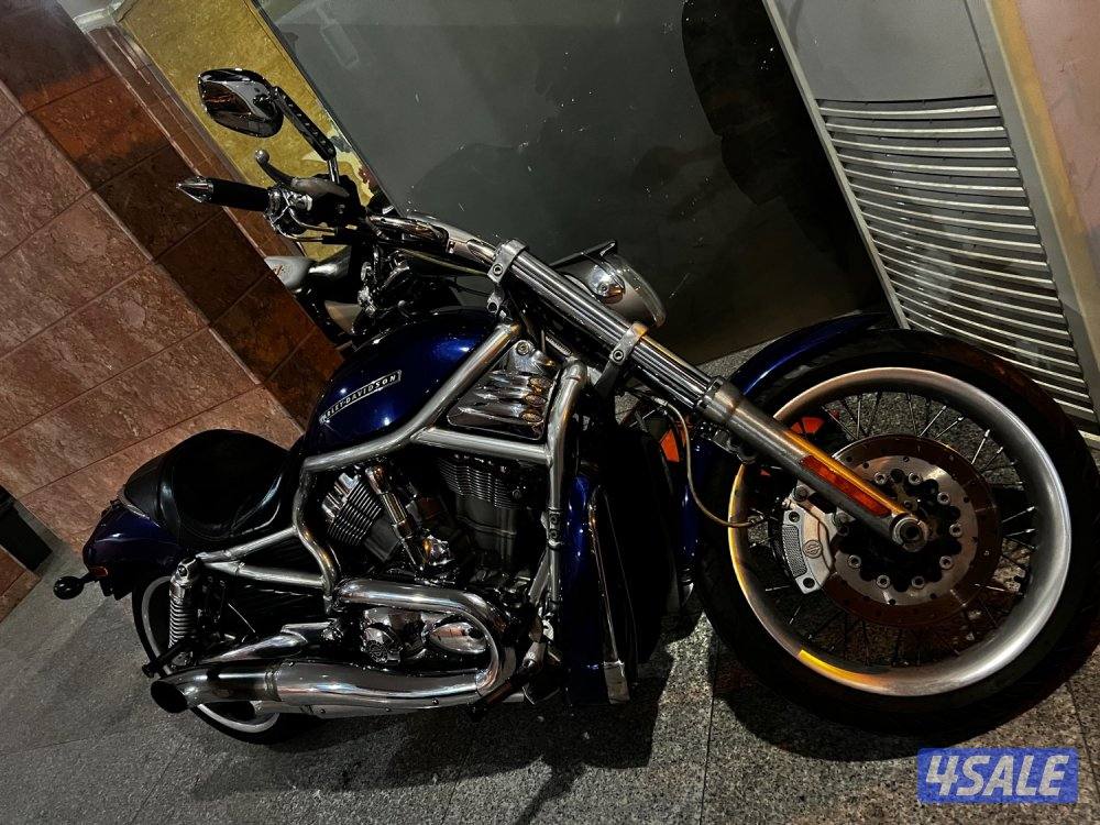 Harley Vrod night rod2