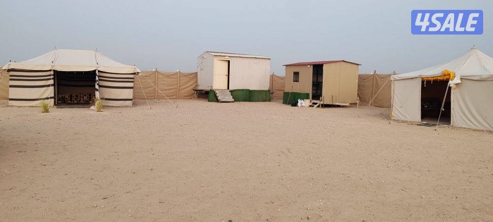 مخيم عايلتنا التأجير للعوائل فقط10