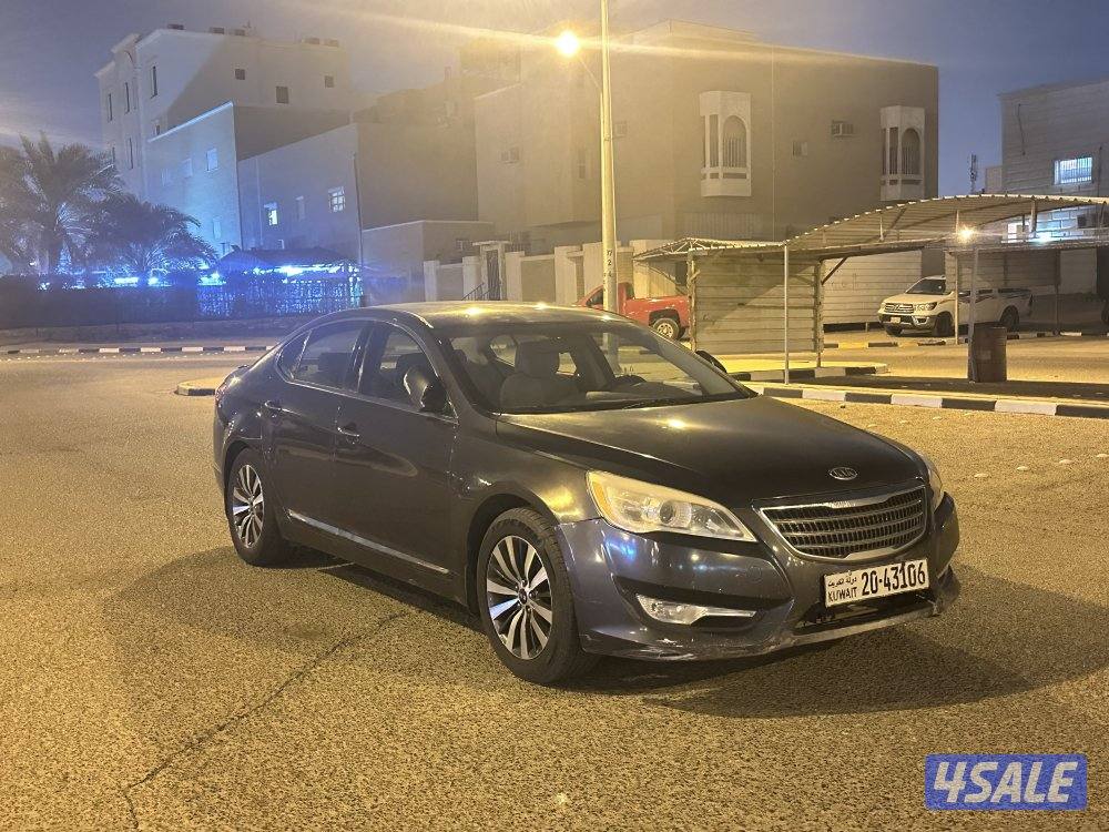 كادينزا 20130