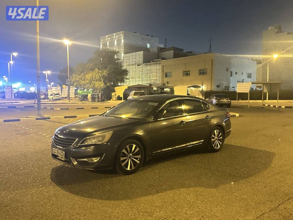 كادينزا 20131