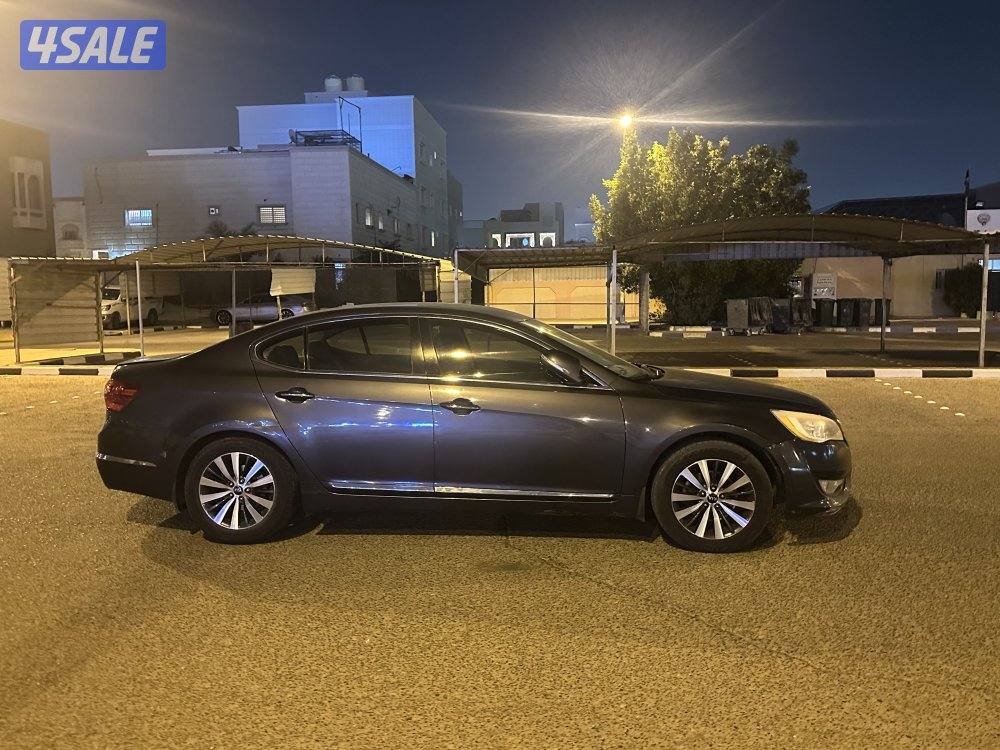 كادينزا 20132