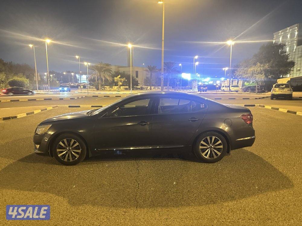 كادينزا 20133