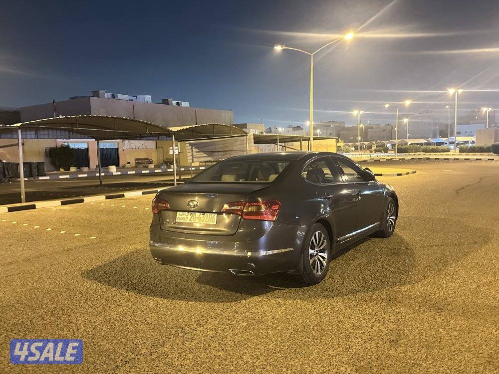 كادينزا 20134