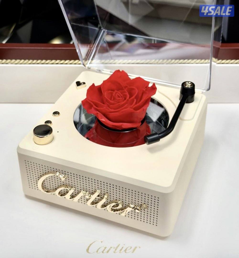 شنط شانيل وديور9