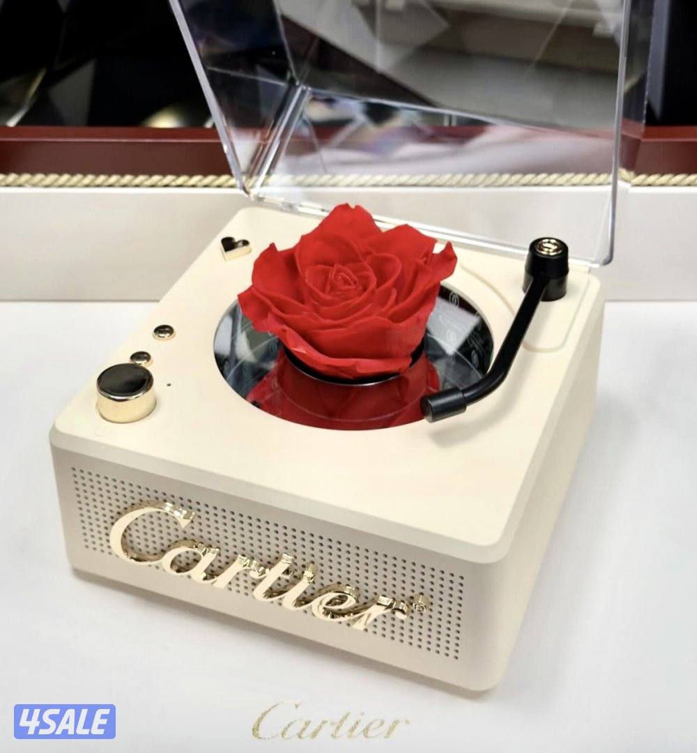 أبواك وشنط شانيل وديور15