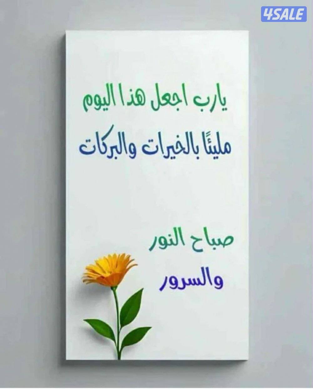 شاب بدون ابحث عن عمل مندوب لدى مكتب محاماة0