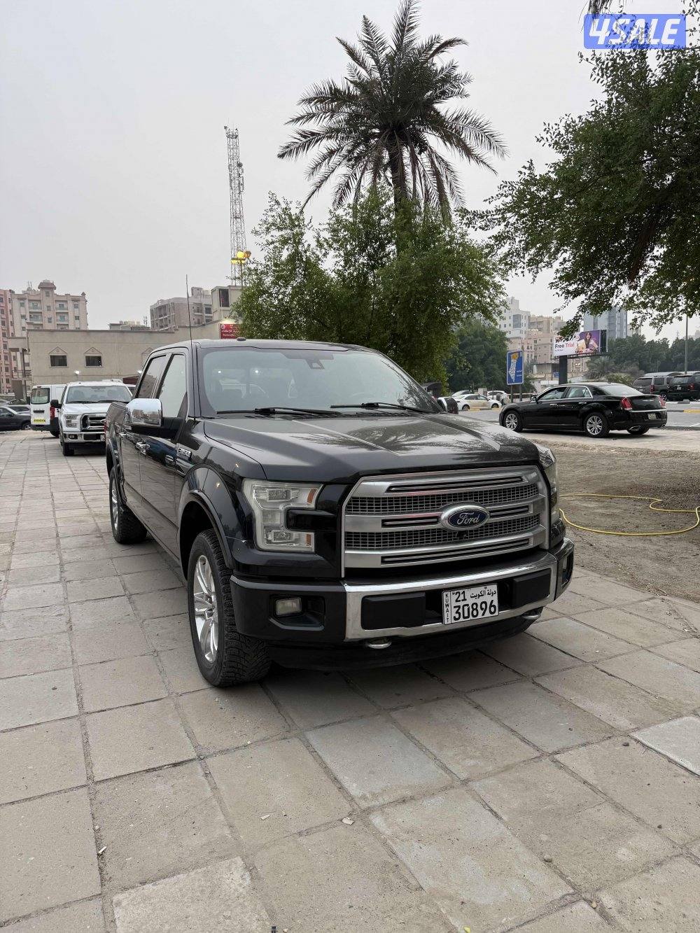 للبيع وانيت فورد بلاتنيوم0