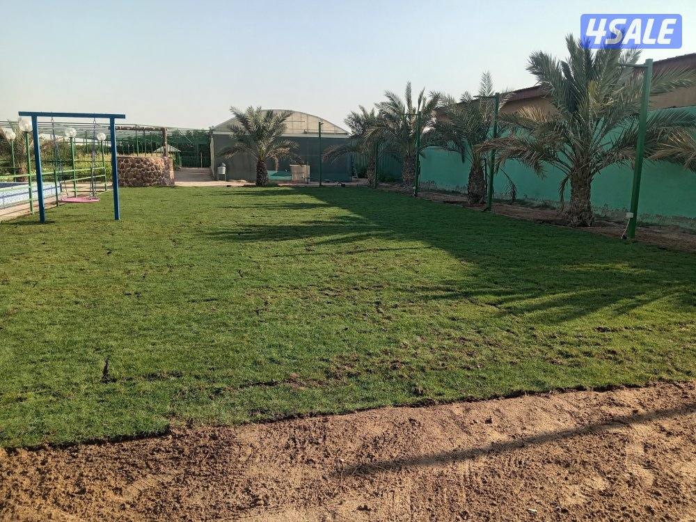 بيع وشراءالثيل الصناعي وزرع الطبيعي وبديل الخشب زرع جميع الورود1