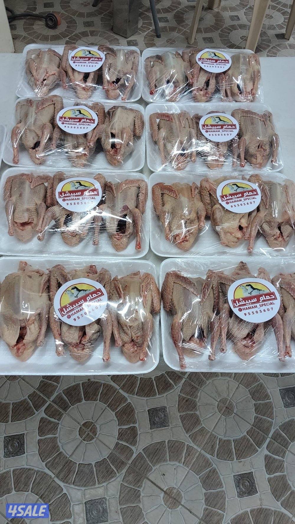 فروخ حمام سبيشل0