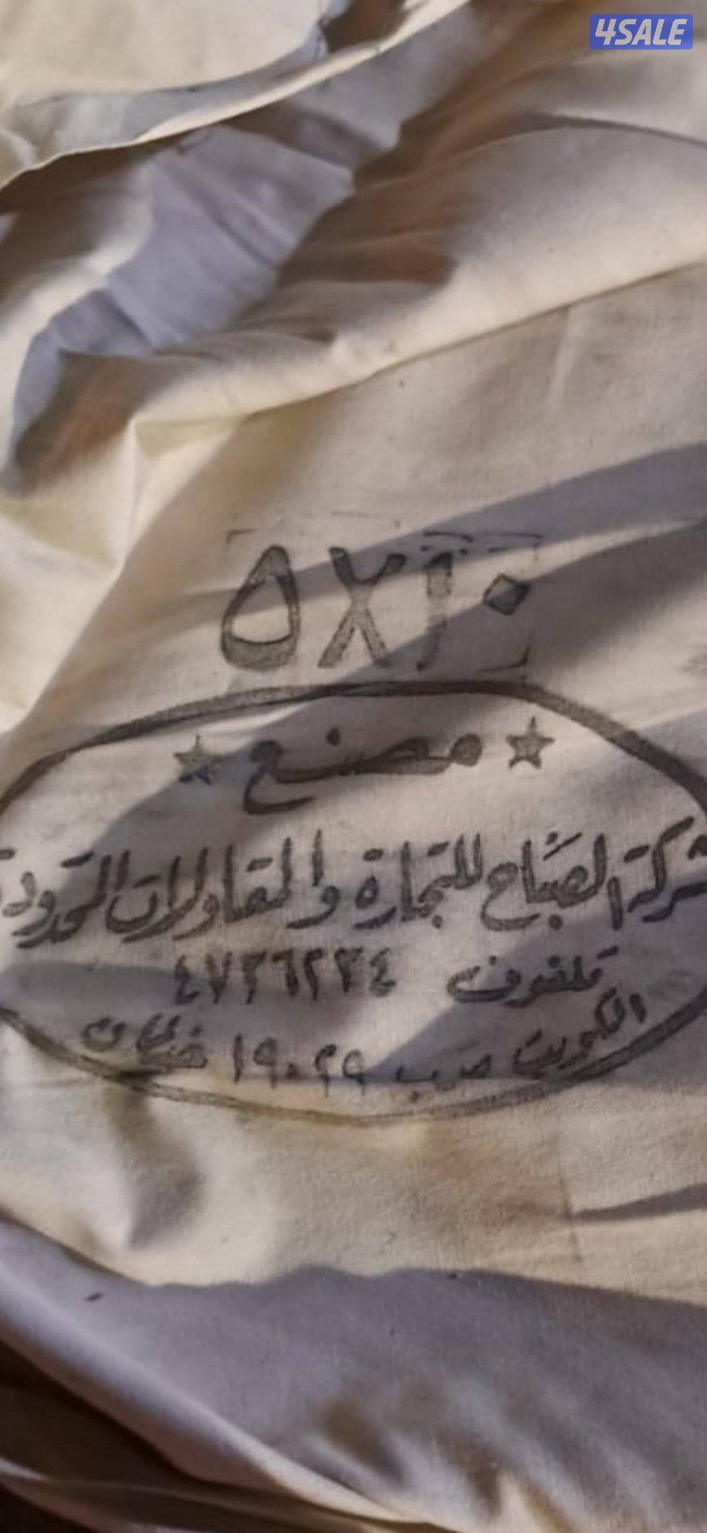 خيمة الصباح1