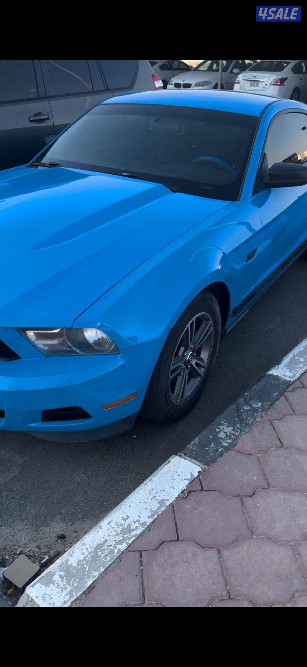 للبيع موستنق0