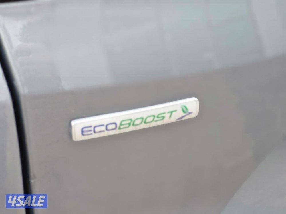 تيريتوري 20246