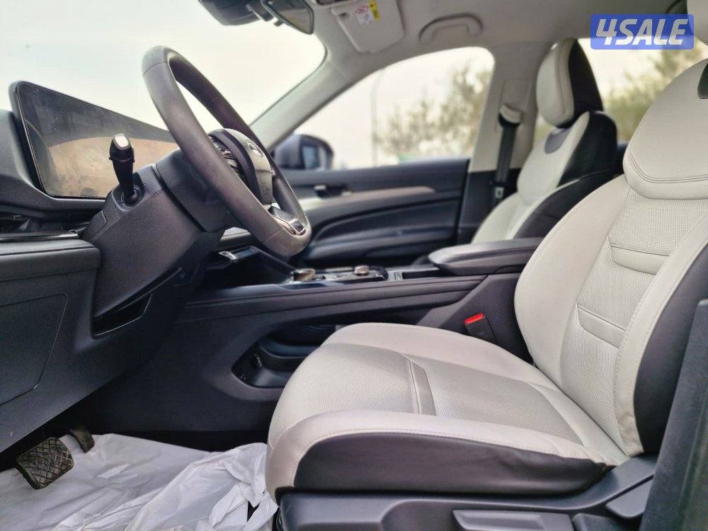 تيريتوري 202413