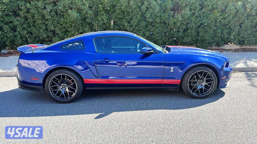 موستنق ٢٠١٠2