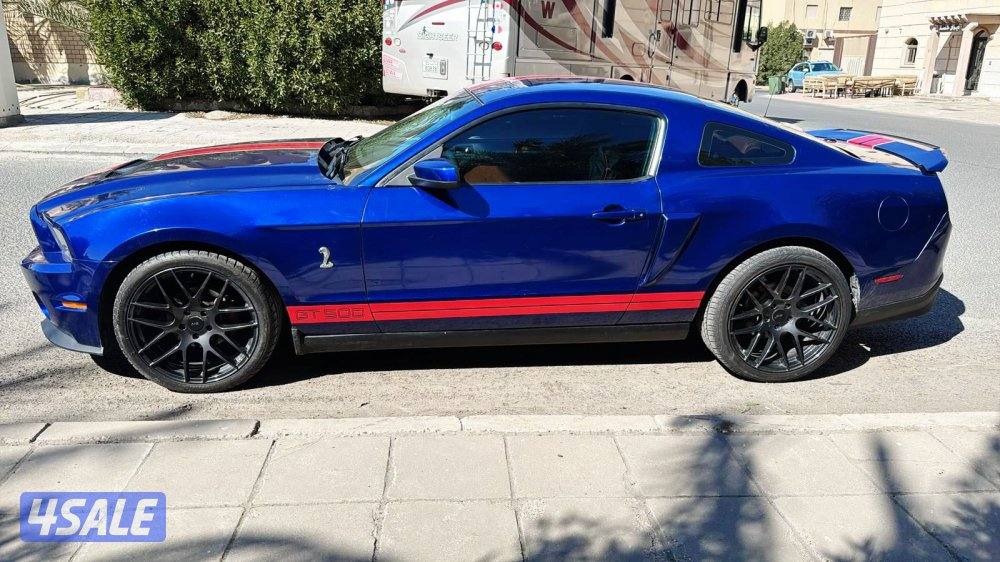 موستنق ٢٠١٠3