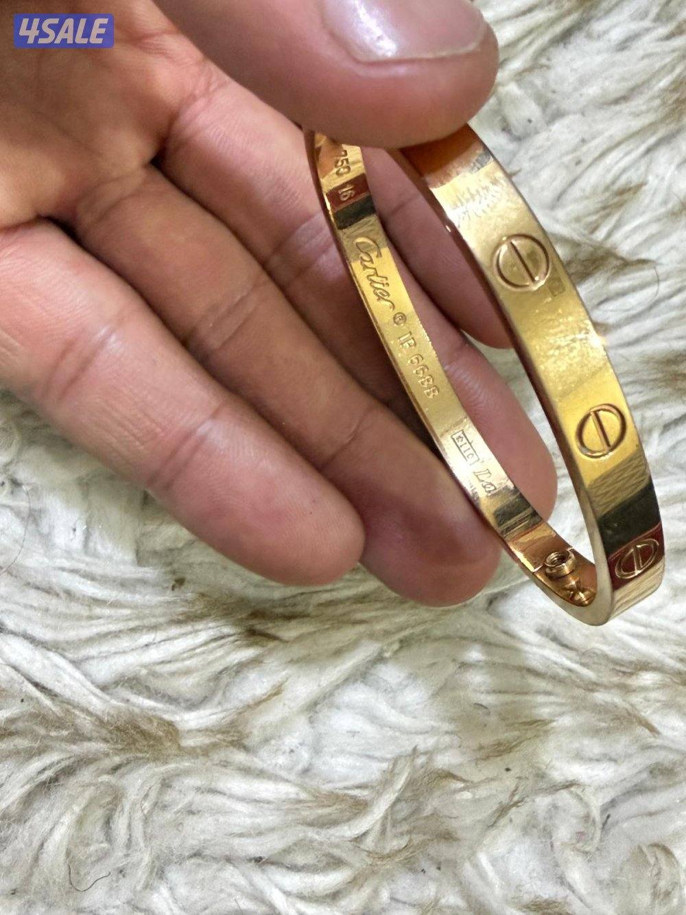 اسوار كارتير ومحبس كارتير3