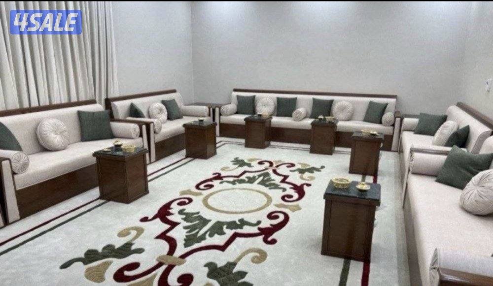 فرونيه الضجيج1