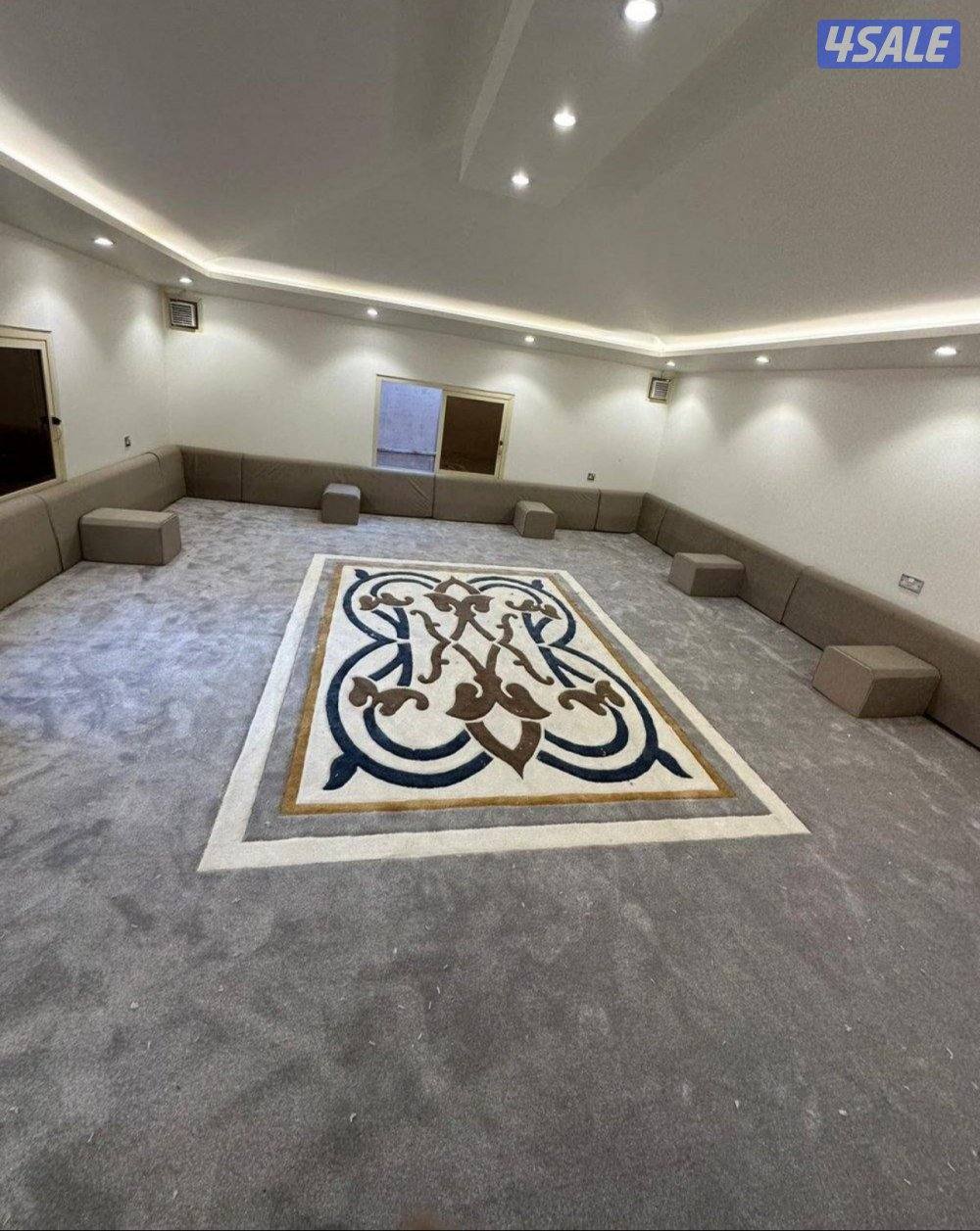 فرونيه الضجيج2