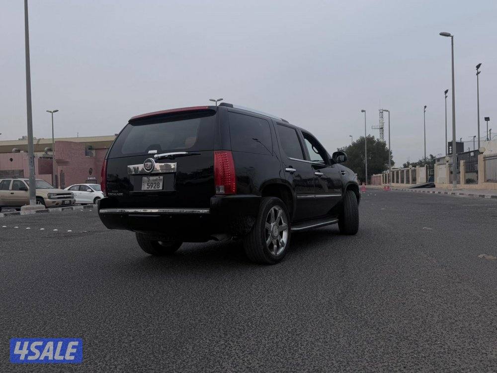 شرط الفحص ولنظافه1