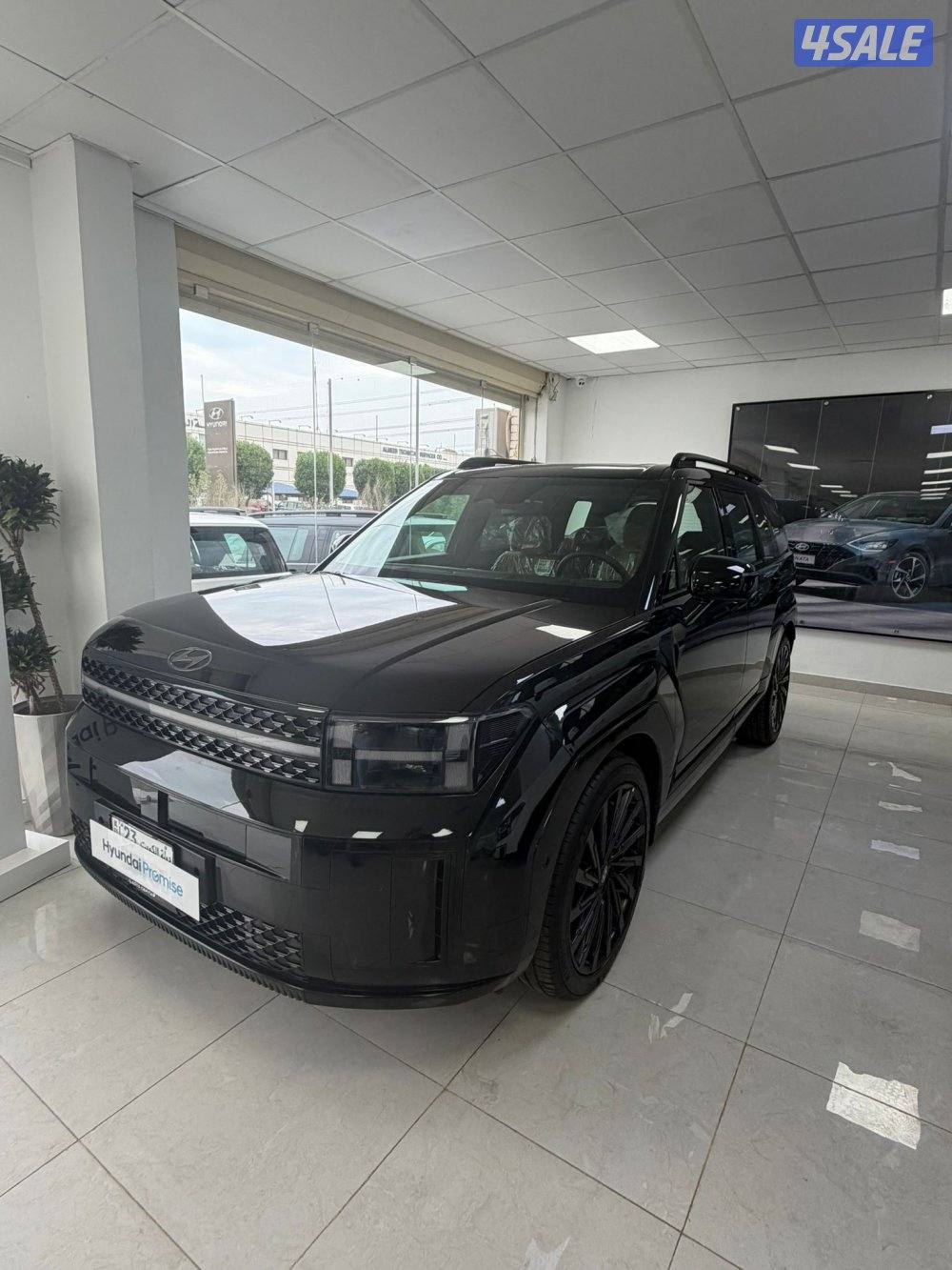 اصفار سنتافي 20240