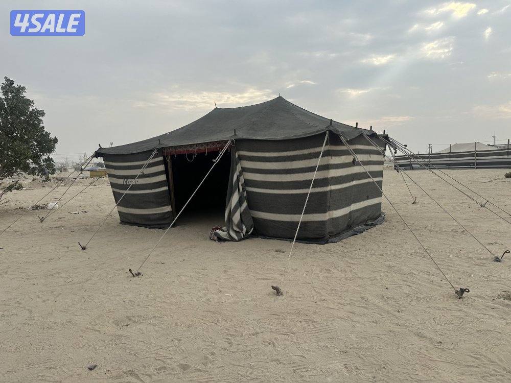 خيمه بيت شعر داخل سدو تقريبا ٥ في ٤0