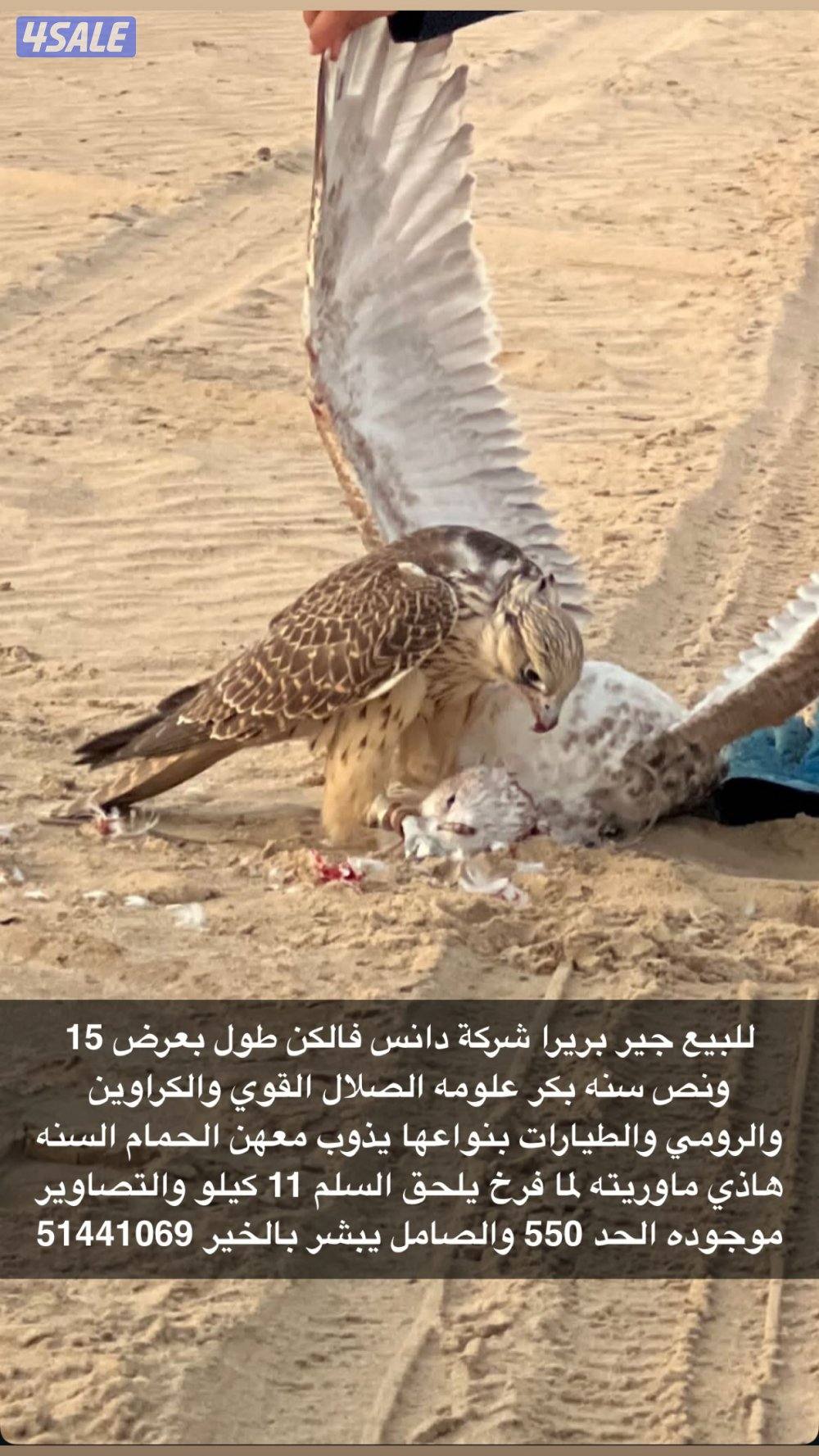 كل شي مكتوب بالاعلان0