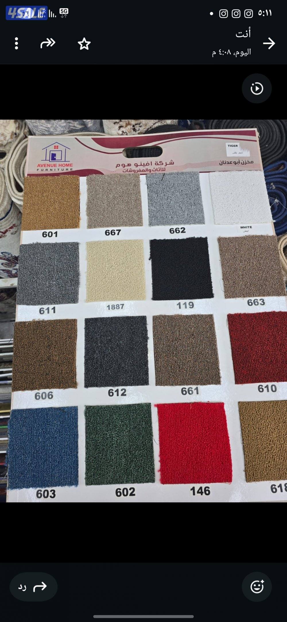 الجهراء سجاد سعودي وتركي4