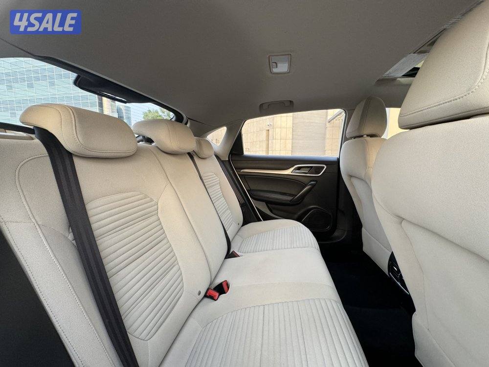 MG 6 موديل 2019 صبغ الوكاله شرط الفحص7